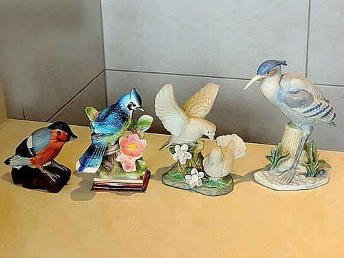 Bird collection delightful - collection,