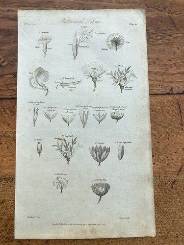 1812 elements botany - of,