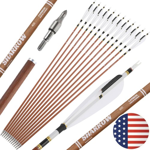 12x pure carbon arrows - pure,