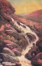 The Grampians A Mountain Torrent Tuck Oilette 7338 c1907 Postcard (G530)