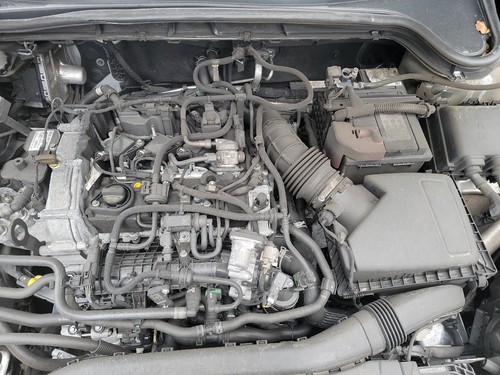 2024 ford focus mk4 - st-line, x