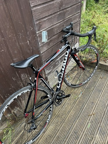 Colnago ace