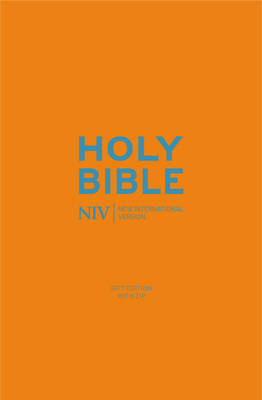 Niv pocket cyan - pocket, soft-tone