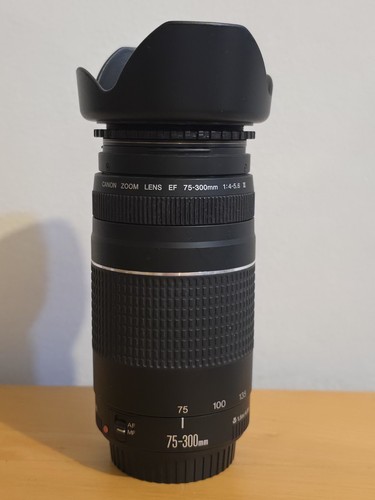Canon zoom lens - canon, 75-300mm