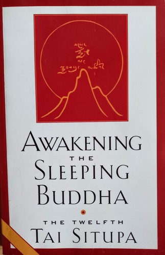 Khentin tai situpa awakening - khentin, situpa,