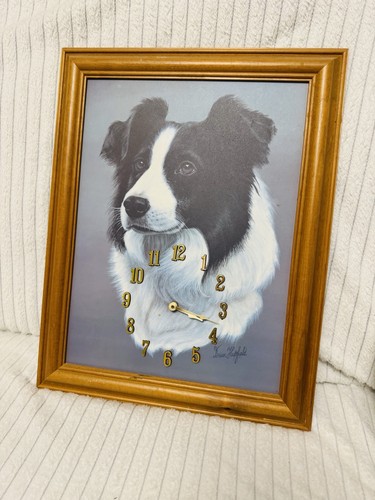 Brian hupfield boarder collie - hupfield,
