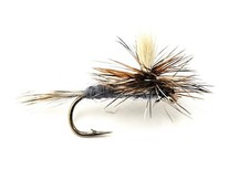 Adams parachute dry - adams,