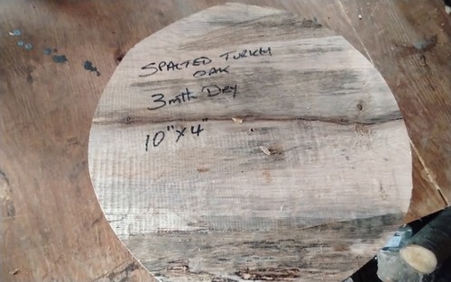 Spalted turkey oak bowl - turkey,