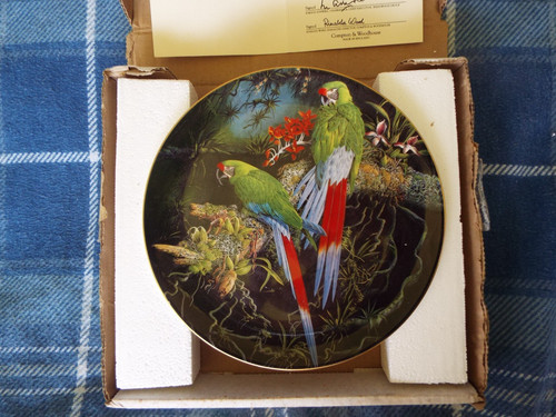 Wedgwood buffon macaw - , "buffon's