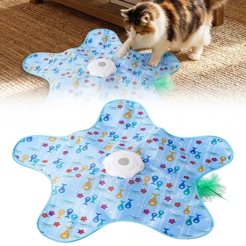 Interactive cat toys - cat, cats