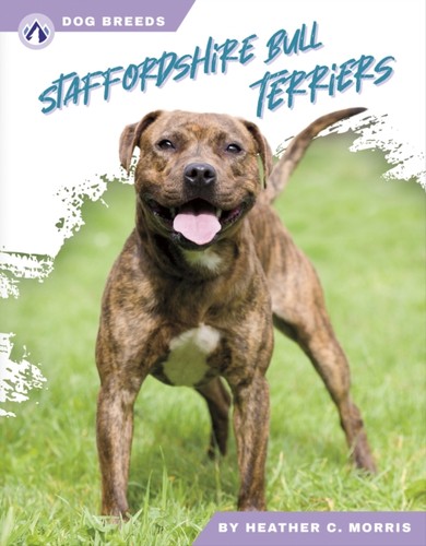 Staffordshire bull terriers - staffordshire,