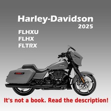 2025 Workshop Service manual