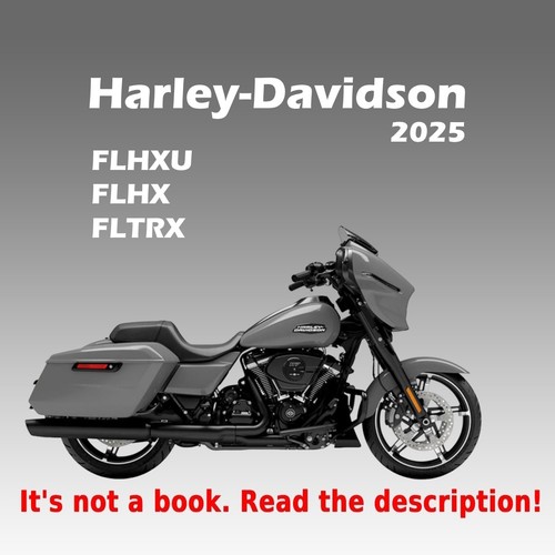 2025 workshop service manual - workshop,