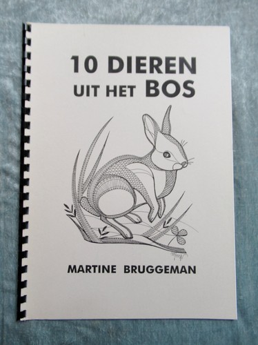 Dutch bobbin lace - dutch,