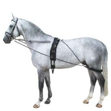 Horse Lunge Training System