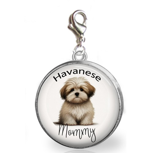 Havanese mommy puppy - mommy, dog