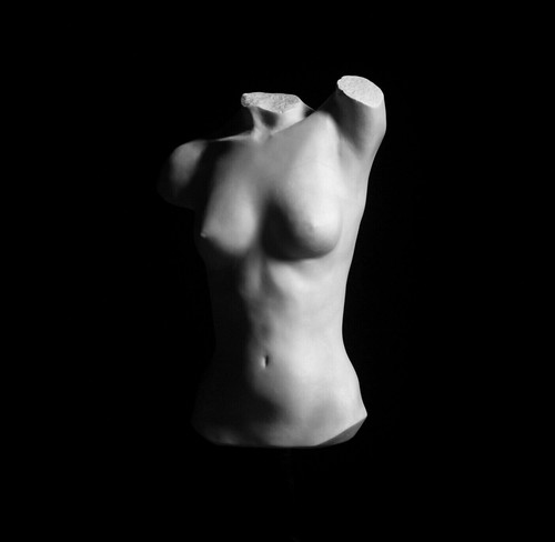Female torso original - female,