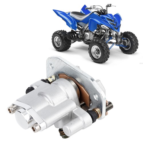 Motorcycle rear brake - rear, caliper