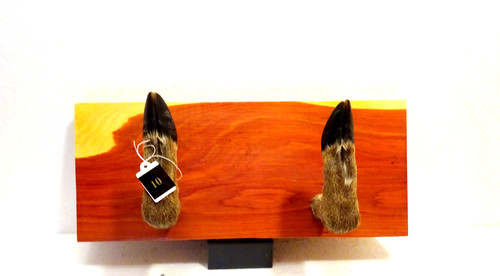 Deer hoof gun rack - deer,