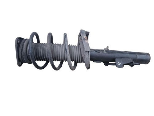 Ford focus strut shock - ford,