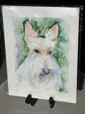White Schnauzer Dog Kate Wood