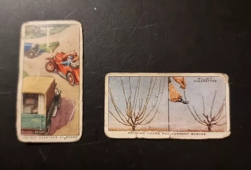 Wills garden hints - garden,