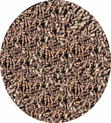 Chicken manure pellets - manure,