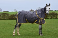 100g Combo Turnout Rug With