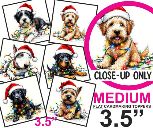 Christmas dogs tangled lights - christmas,
