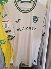 Norwich City Match Issue