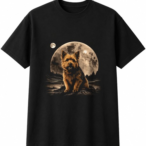 Norwich terrier dog - norwich,