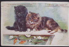 MABEL GEAR CAT Comic CATS BLACK PERSIAN TABBY KITTENS GOLDFISH WHAT ARE THEY