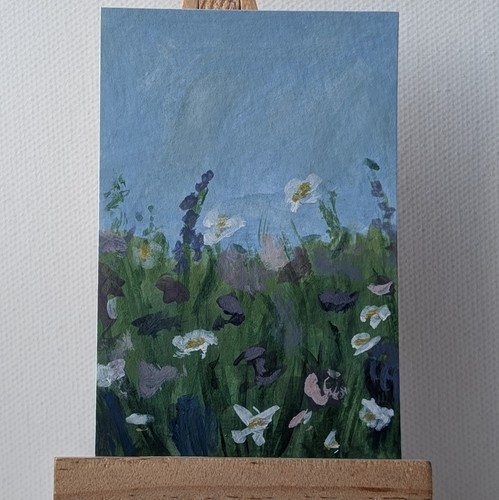 Aceo wildflower meadow - aceo,