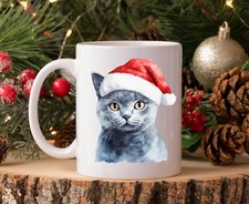 Christmas Cat in Santa Hat