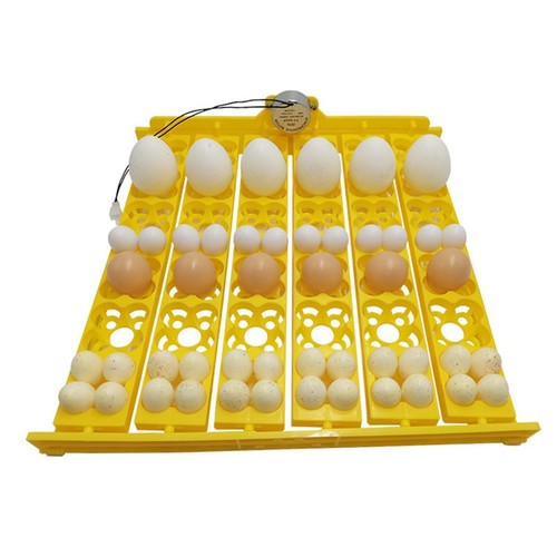 Eggs incubator turning tray - turning,