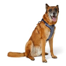 Wainwrights Herringbone Dog