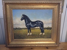 Section D Welsh Cob Horse