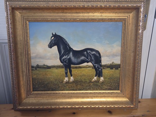 Section welsh cob horse - d,
