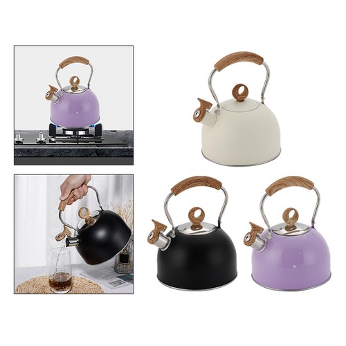 Stainless steel tea kettle - tea,