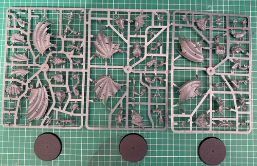 Warhammer age sigmar - sigmar, flesh
