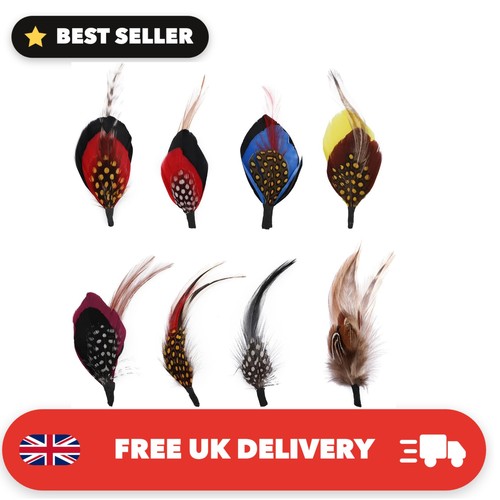 Pieces hat feathers for - hat,