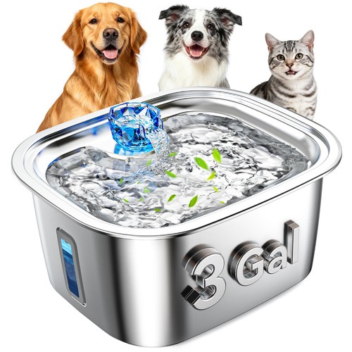 Gallon stainless steel dog - stainless,