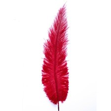 Ostrich Feathers - Red -10" -