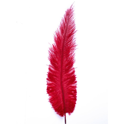 Ostrich feathers red - ostrich,