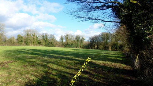 Photo 12x8 cotswolds pasture - photo,