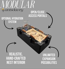 Modular 2:1 Small Nest