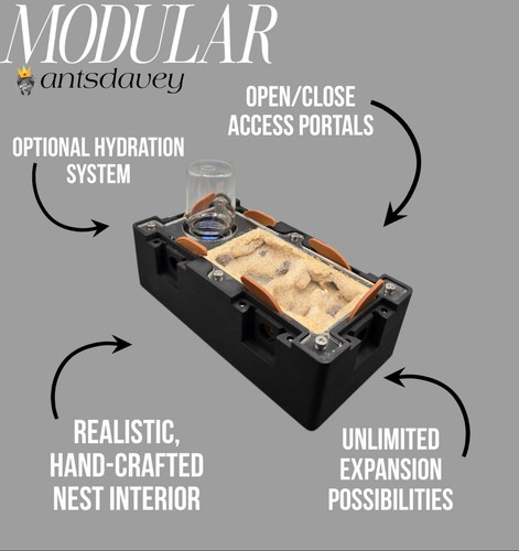 Modular small nest - 2:1,
