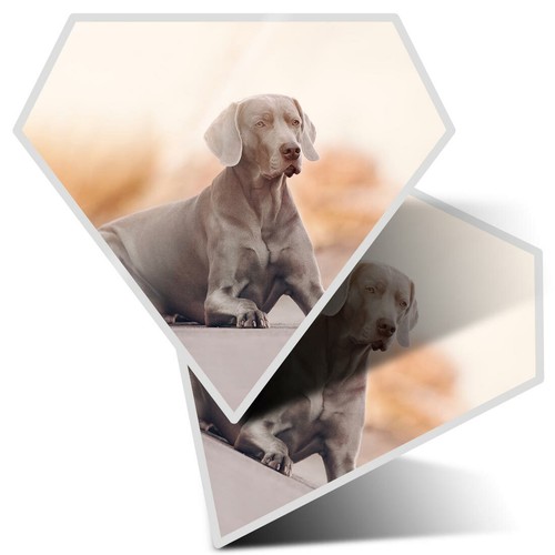 Diamond stickers - 2, 10