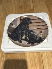 Like Father Like Son plate by