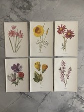 Original Antique botanical / floral bookplates  1908 ,  6 x flower prints